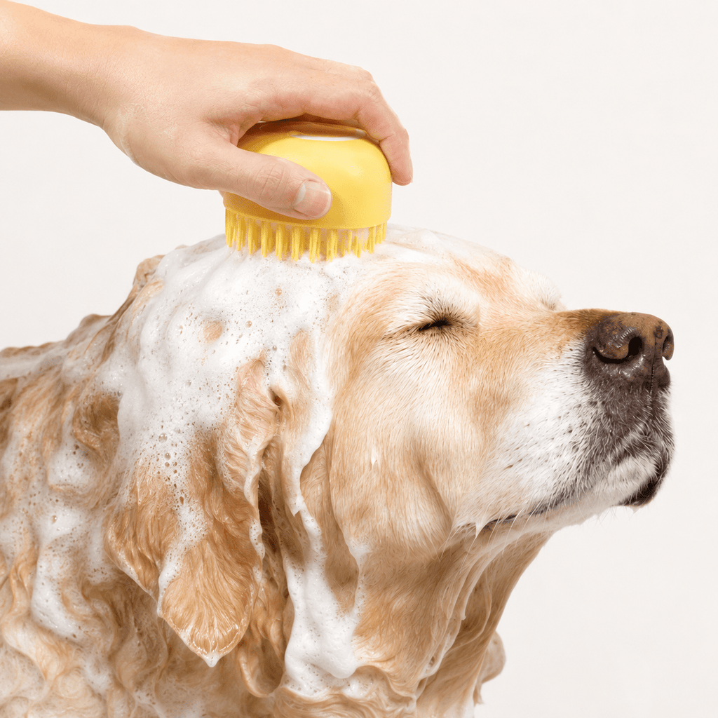 Dog being gently washed with a silicone bath massage brush