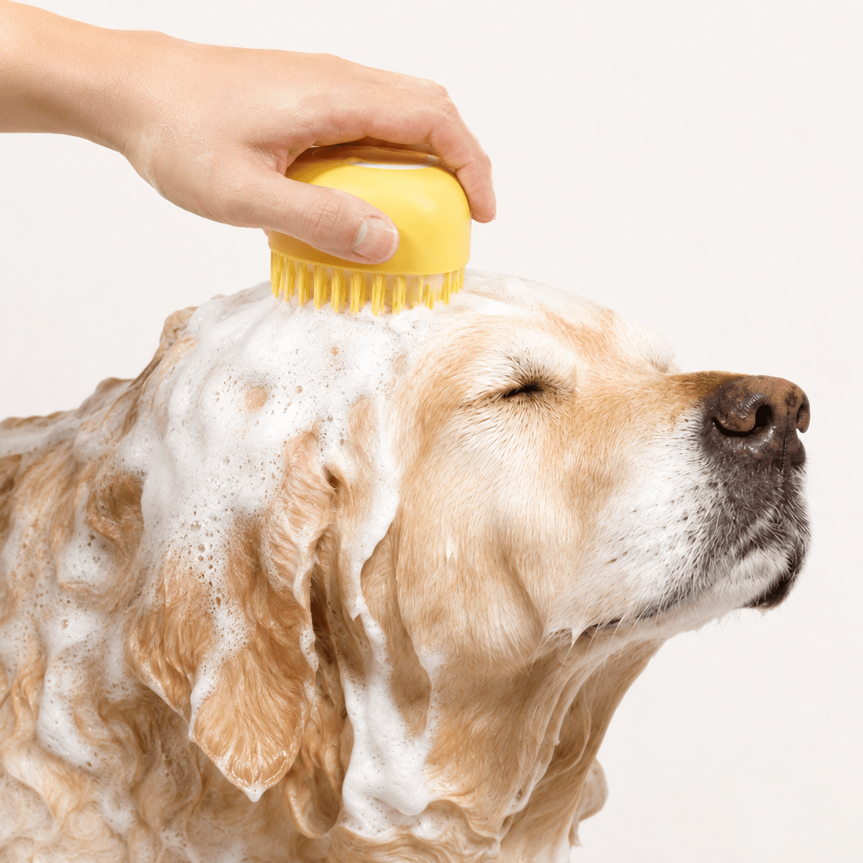 Dog being gently washed with a silicone bath massage brush