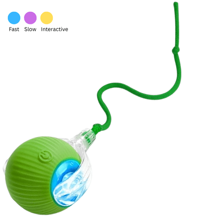 Green interactive rolling ball toy for cats