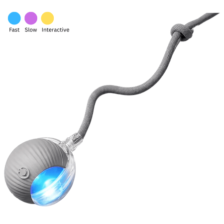 Grey rechargeable pet rolling ball toy
