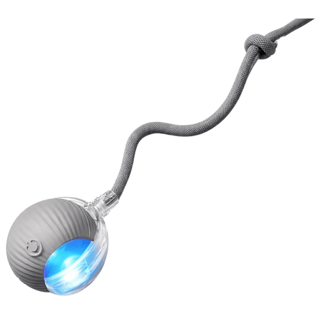 Grey rechargeable pet rolling ball toy 