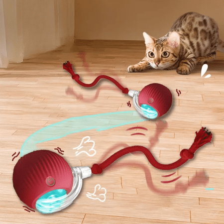 Rechargeable interactive rolling ball toy for cats and small dogs