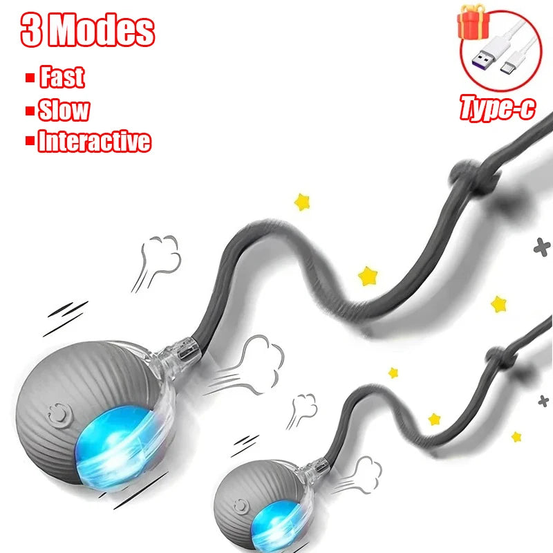 Rechargeable Interactive Rolling Ball Toy for Cats & Dogs