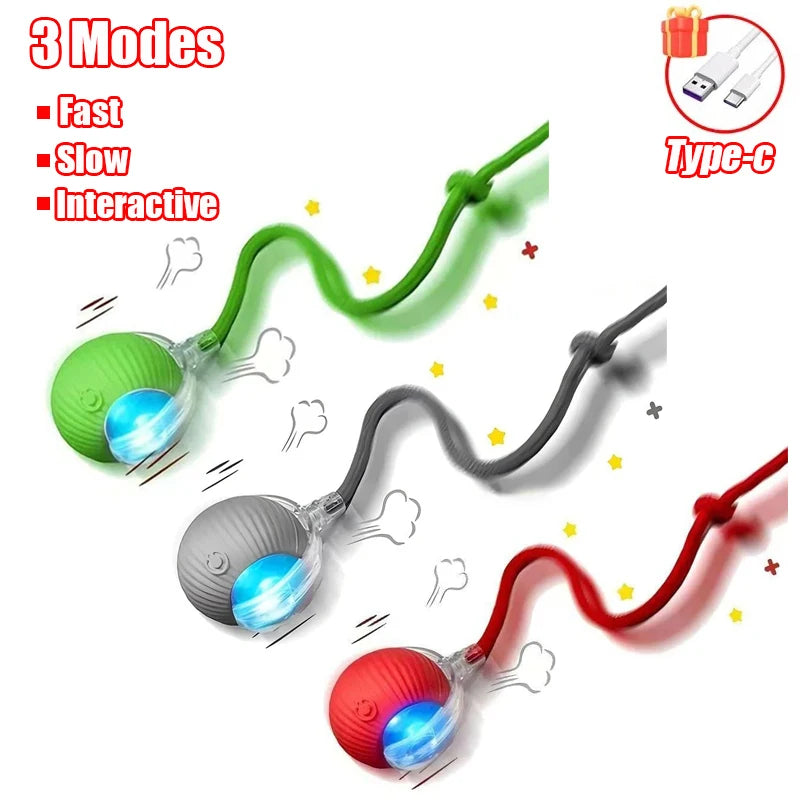 Rechargeable Interactive Rolling Ball Toy for Cats & Dogs