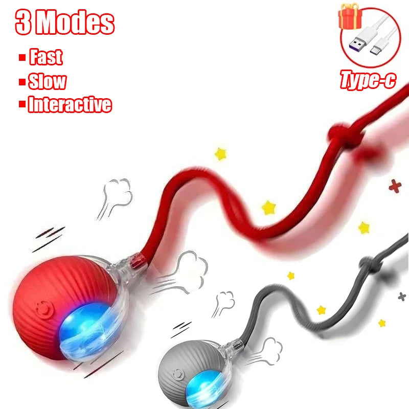 Rechargeable Interactive Rolling Ball Toy for Cats & Dogs
