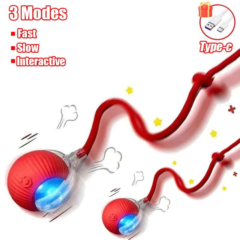 Rechargeable Interactive Rolling Ball Toy for Cats & Dogs