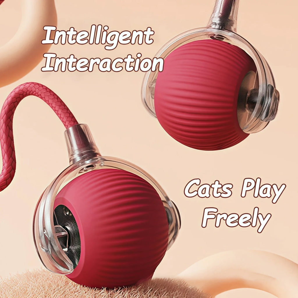 Rechargeable Interactive Rolling Ball Toy for Cats & Dogs
