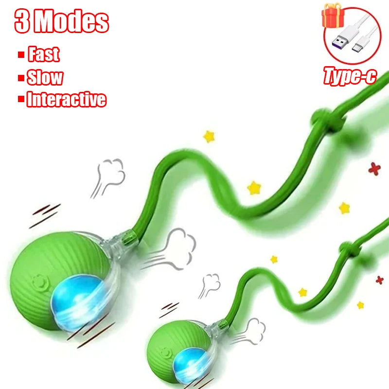 Rechargeable Interactive Rolling Ball Toy for Cats & Dogs